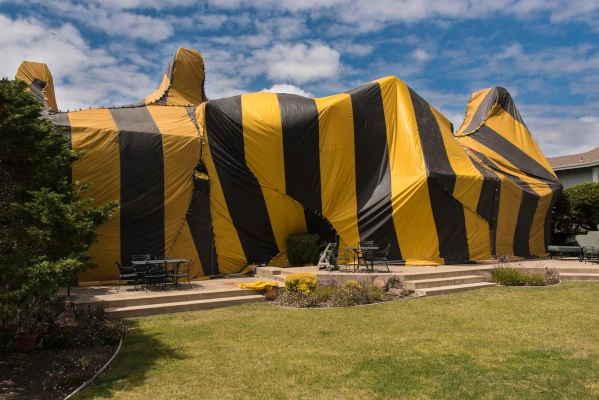 A Yuba City home covered with a bedbug control tent for bedbug fumigation