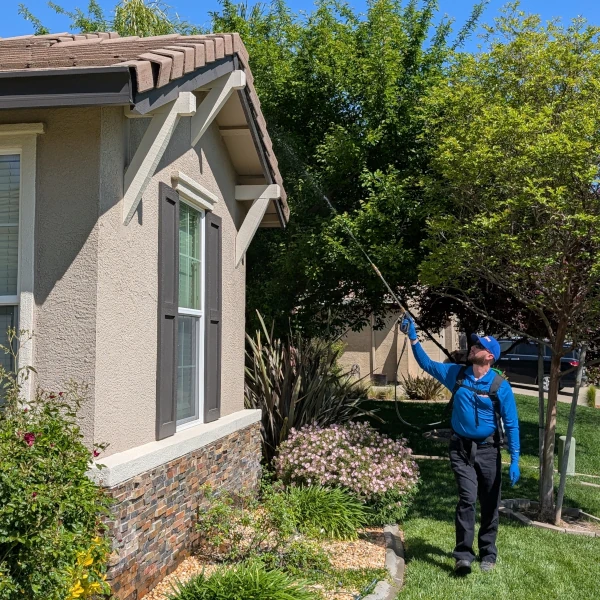 Rodent Wrangler spaying the eaves of a marysville home for spider control. rodent wrangler is your local expert for Marysville pest control