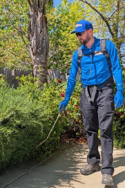 Rodent Wrangler treats the perimeter of a yard and patio while performing a Sutter pest control service. Perimiter treatments are important for insect control to prevent insects from coming to your yard from neighboring properties.
