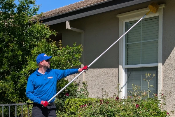 Rodent wrangler performing a Plumas Lake Pest Control Service for spiders. Rodent wrngler removes spider webs all around the home as part of every spider control service