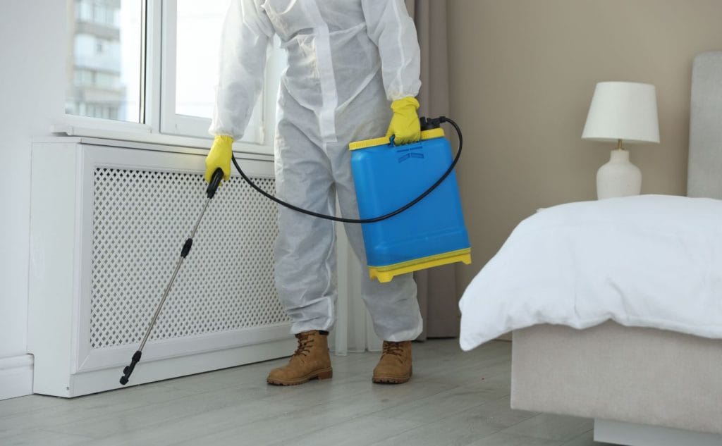 rodent control Marysville CA technician inspecting attic for rats
