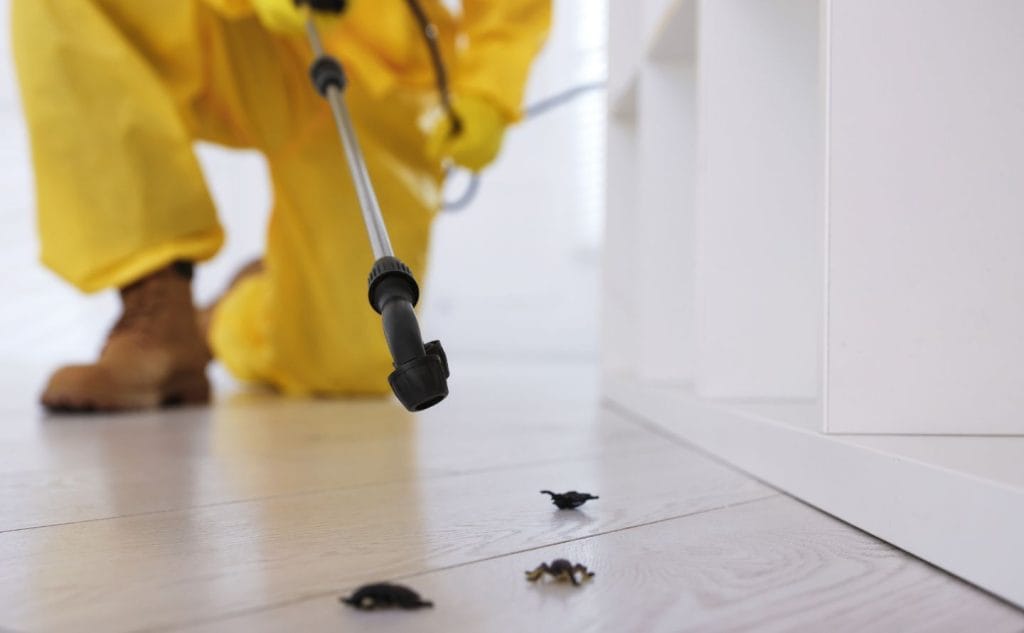 spider control Marysville CA technician removing webs from home exterior